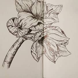 Цветы ручкой