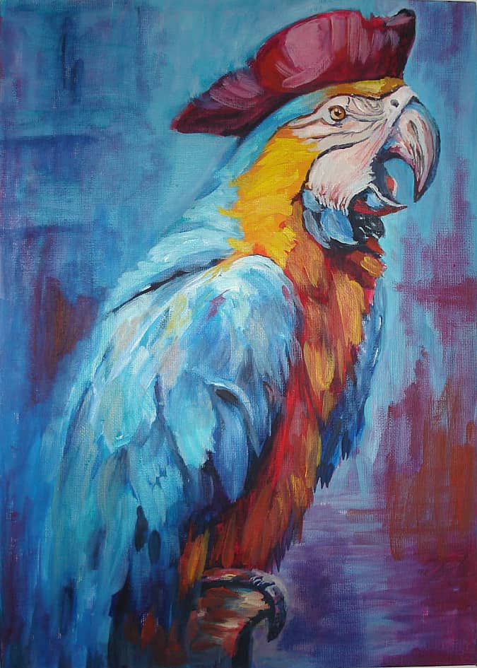 Вот такой я пират.