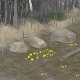 Желтые цветы