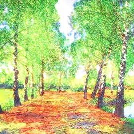 Берёзы на берегу