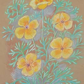 Желтые цветы