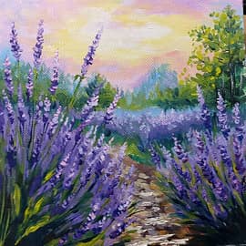 Лаванда у тропинки.