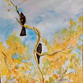 Сверху лучше