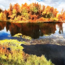 осенний пейзаж.