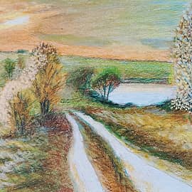 Лес на закате