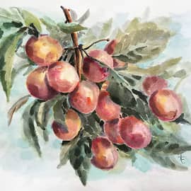 Белорусские персики