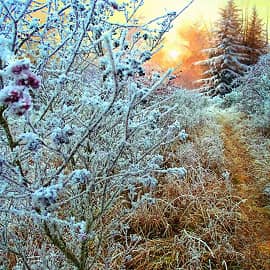Закат зимнего дня.