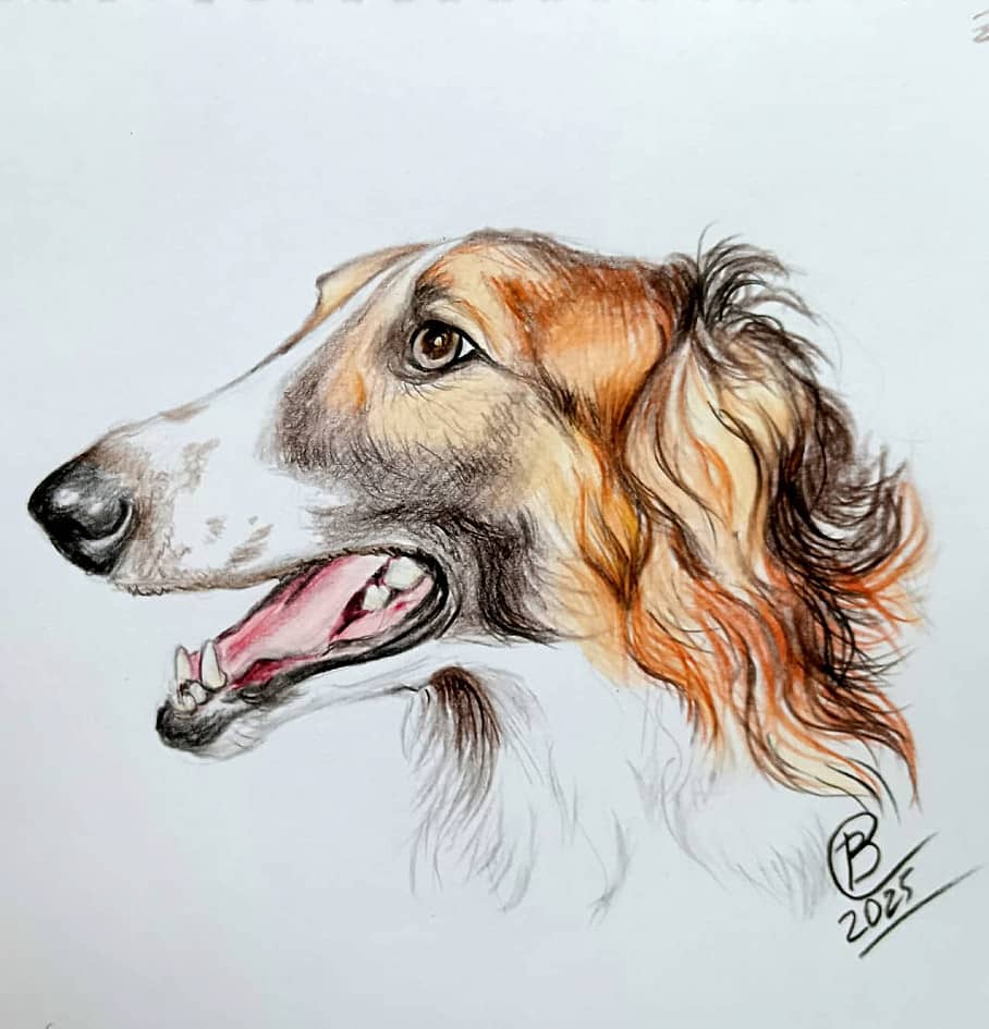 Русская Борзая