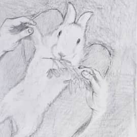 Сельськие радости