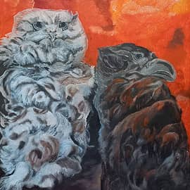 Ссора Совы и Ворона.