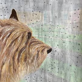 Настроение погулять - Ноль!