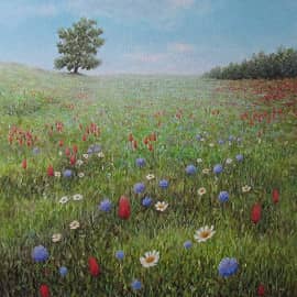 Поле цветов.