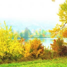 У осенней реки