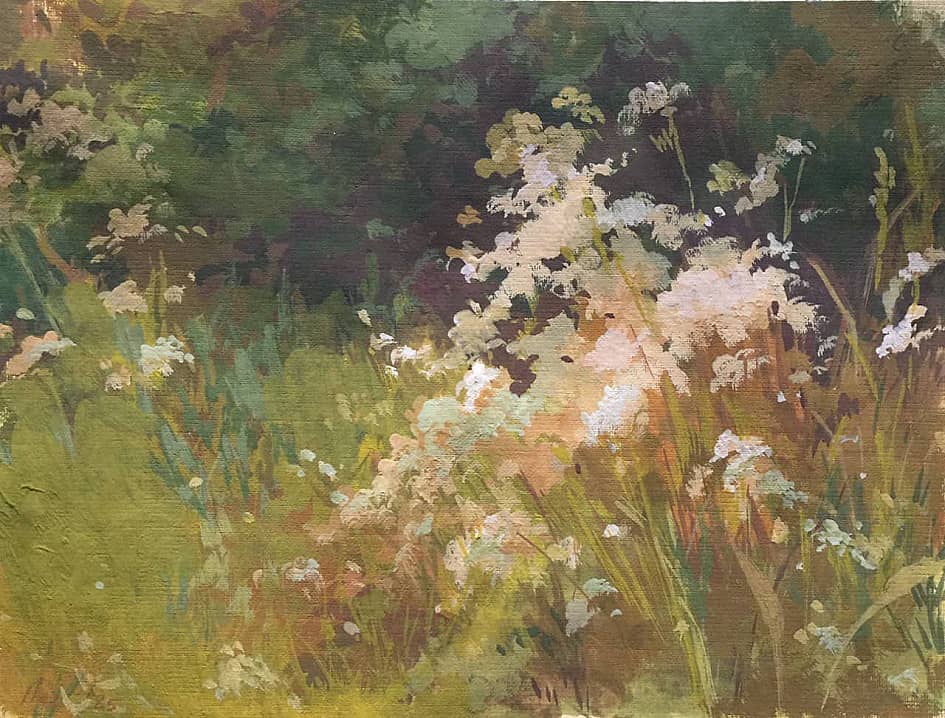 Поле. Цветы