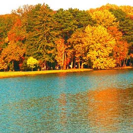 На солнечном берегу.