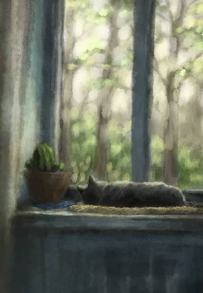 Наблюдение