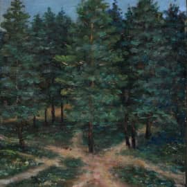 Лес на окраине Димитровграда