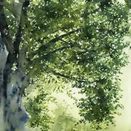 Картина "Могучая липа"