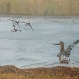 Регулировщик