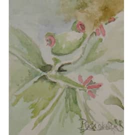 Ква ква привет  2021 12.5х18   бумага акварель