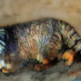 Животные 037