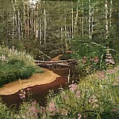 На лесной речке