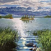 Солнечные блики на воде