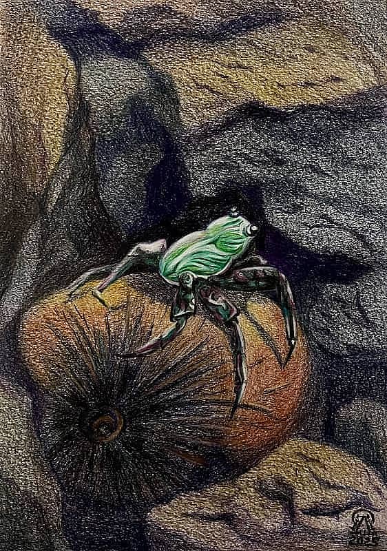 Фукуок. Краб.