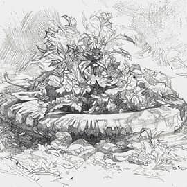 Летнее утро