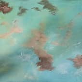 Над океаном (5), художник Евгения