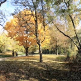 Осенняя прогулка