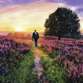 По тропинке к солнцу.