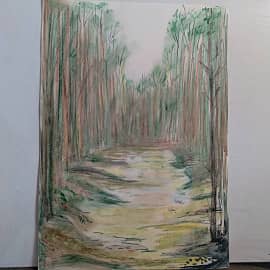 Лесная тишина