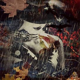 Дождливая  осень.