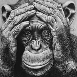 Размышления