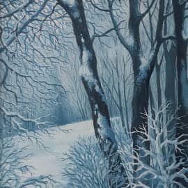 Снежная зима