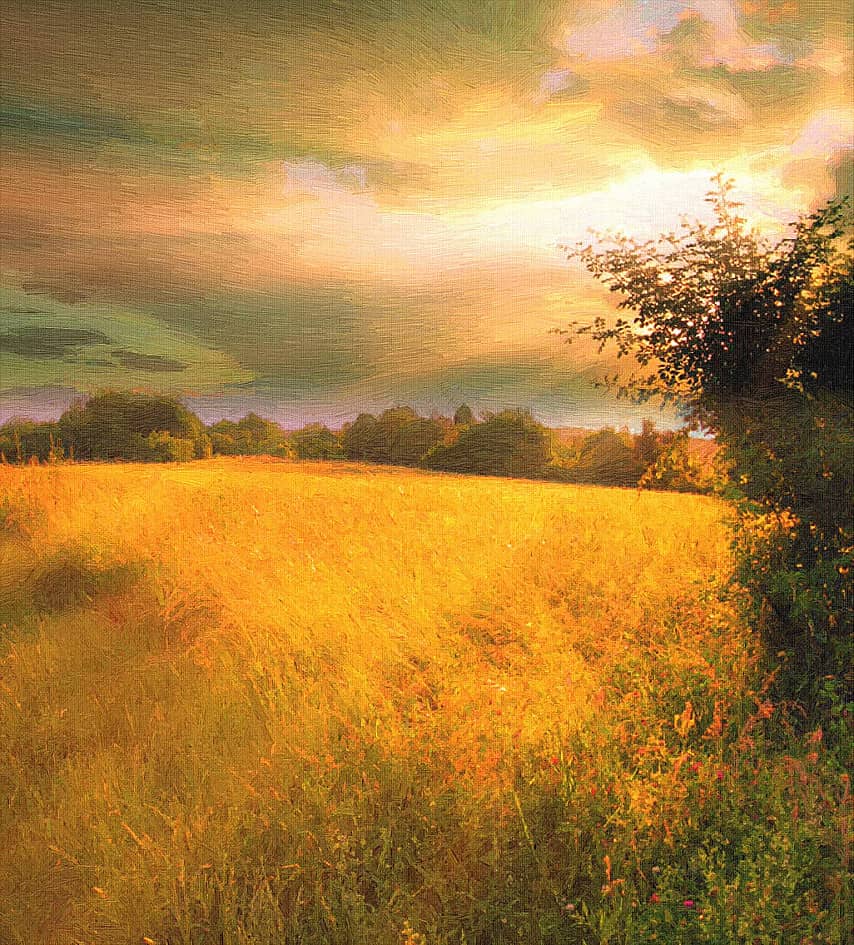 Золотое поле-2