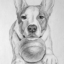 Пес (набросок)