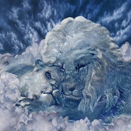 Львиный сон