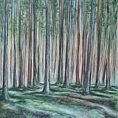 Сосновый бор