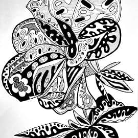 Цветок снимающий стресс