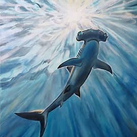 Вперёд и вверх! Акула-молот.