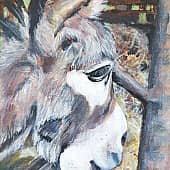 Ослик в зоопарке