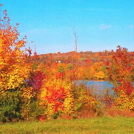 у осенней реки-2