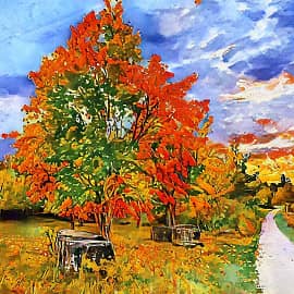 Осенняя дорога.