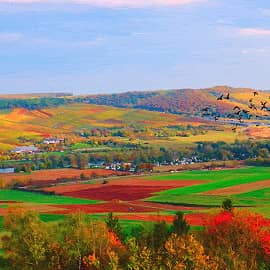 Краски осени.