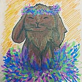 "Мой кролик"