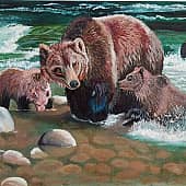 "Проверка вод"