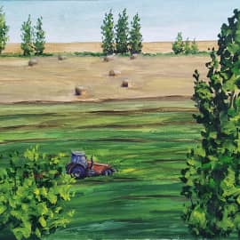 Семилукские поля