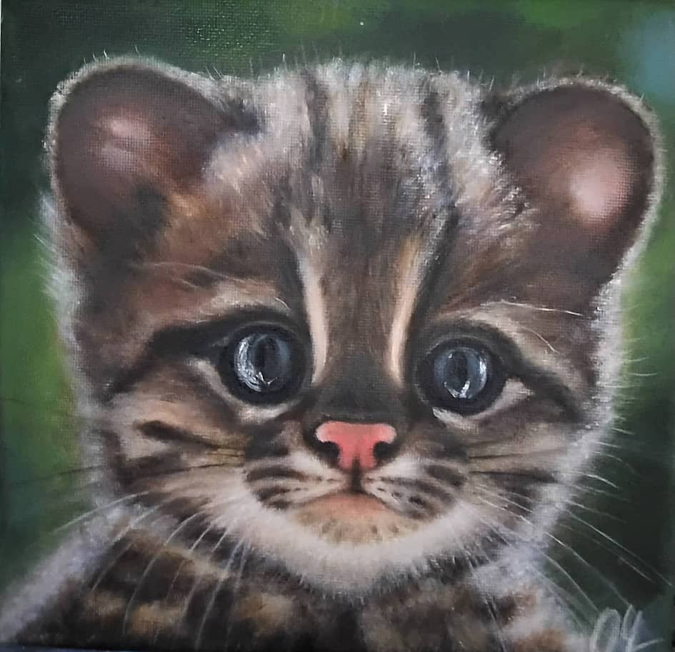 Котенок тигровой кошки